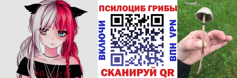 Галлюциногенные грибы Cubensis  Нязепетровск 